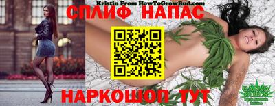 ECSTASY Заволжье